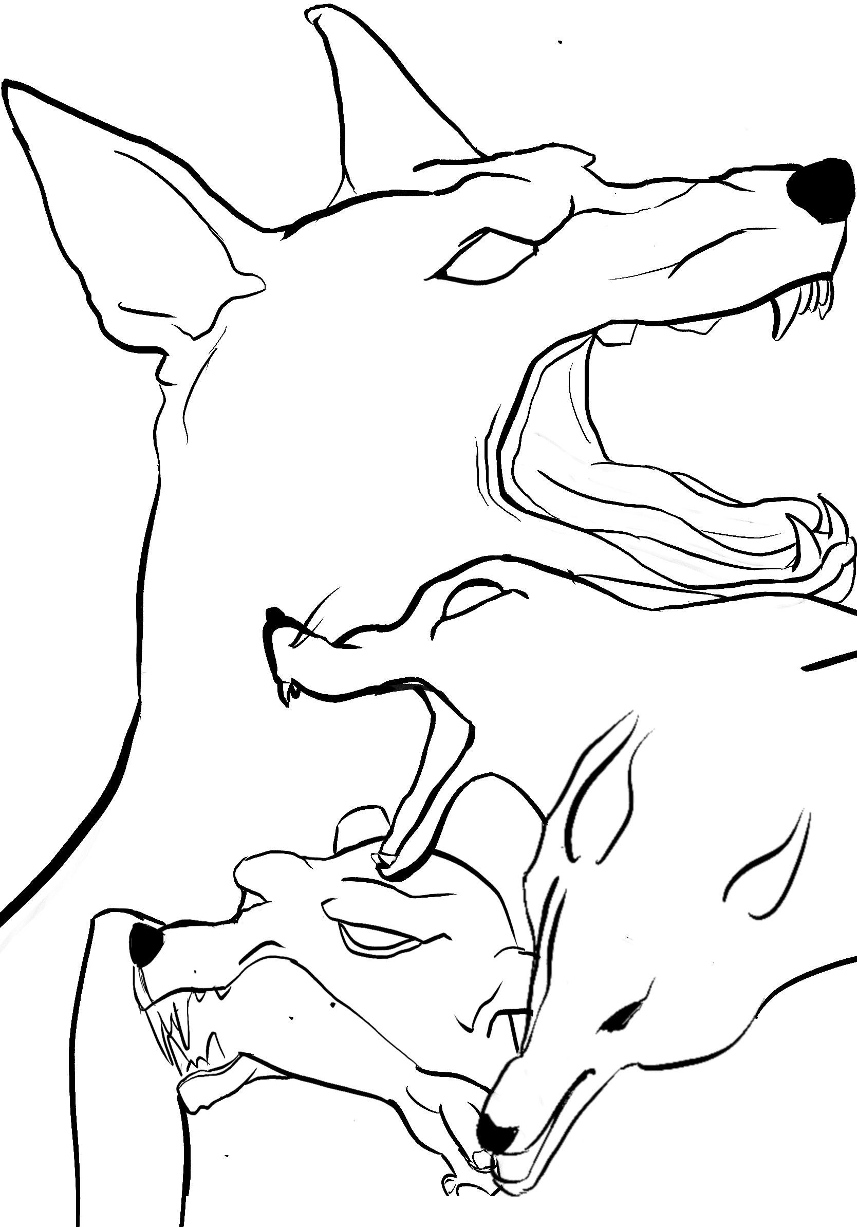 Untitled 16